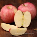 Hot Sale New Crop Fresh FUJI Apple From China High Quality